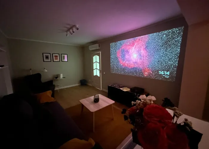 Stylish Apartment With Video Projector